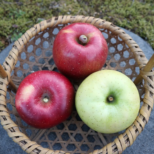 11月のりんごセット